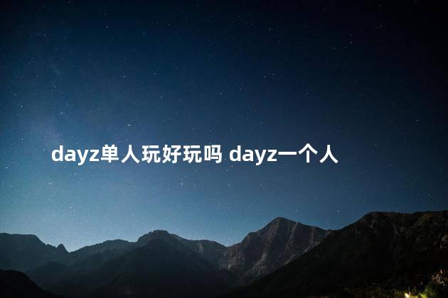 dayz单人玩好玩吗 dayz一个人能玩吗